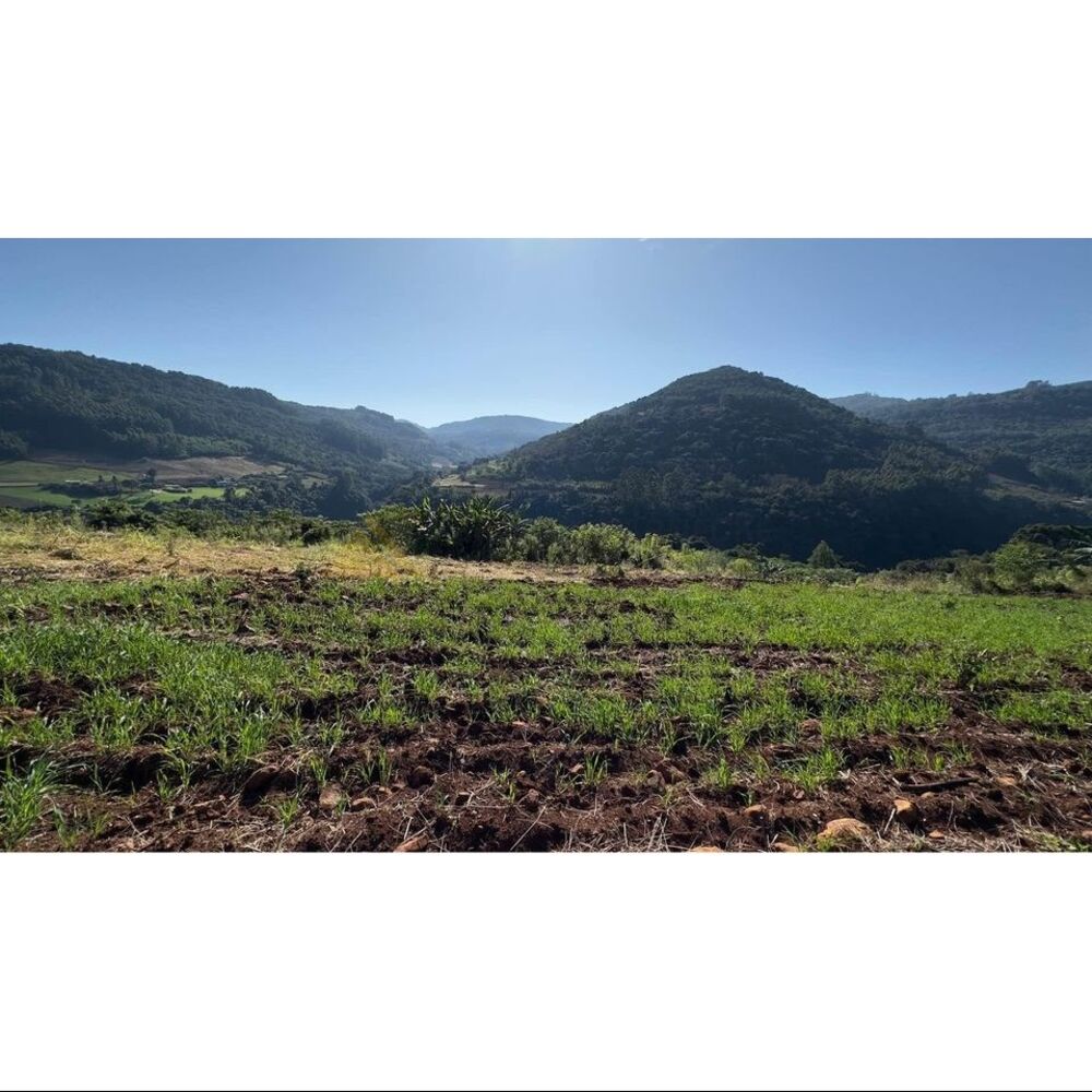 Terreno, 2 hectares - Foto 19