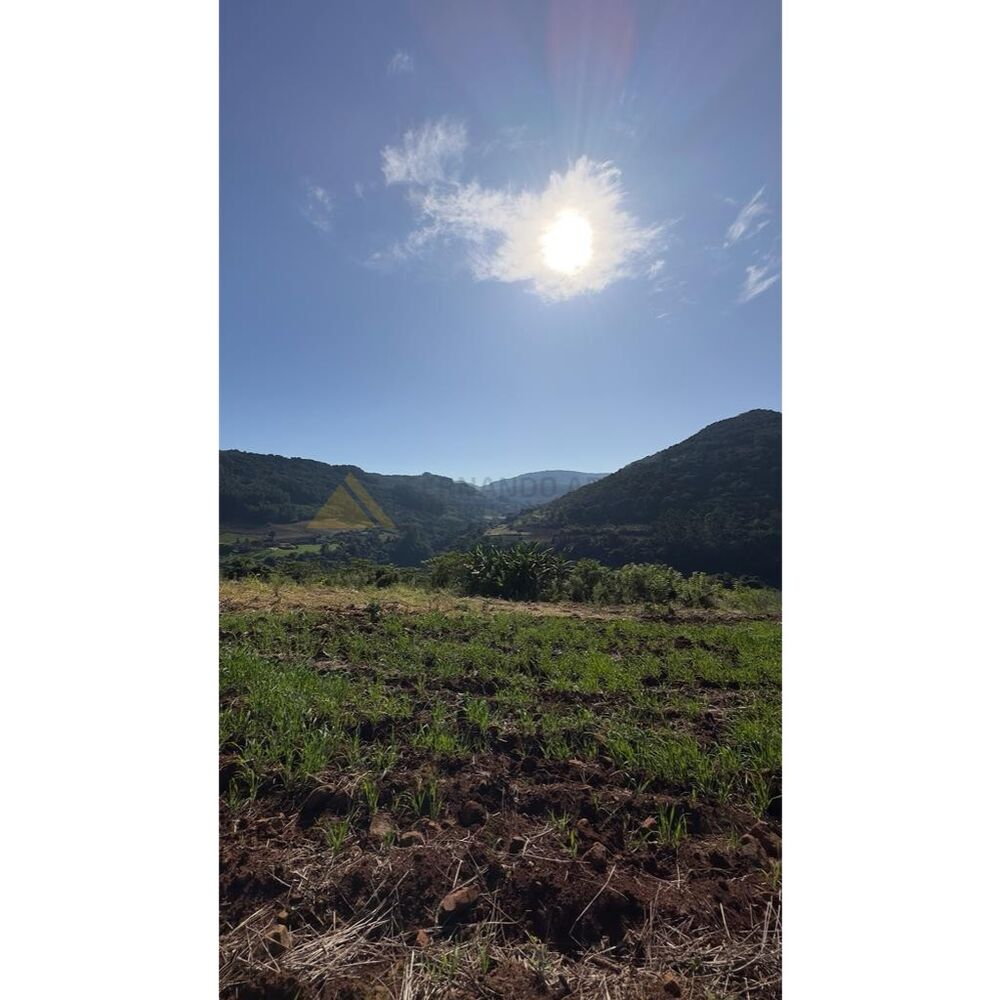 Terreno, 2 hectares - Foto 17