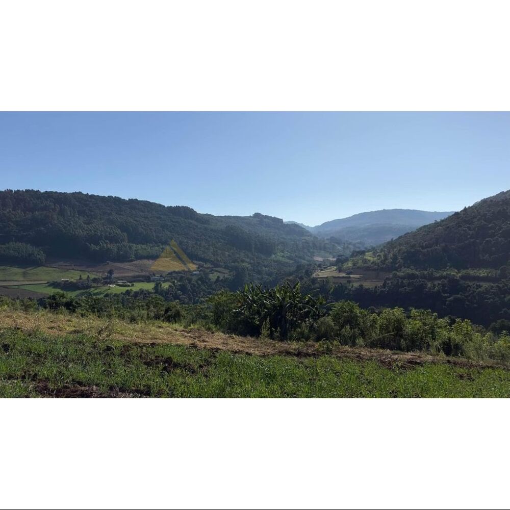 Terreno, 2 hectares - Foto 2