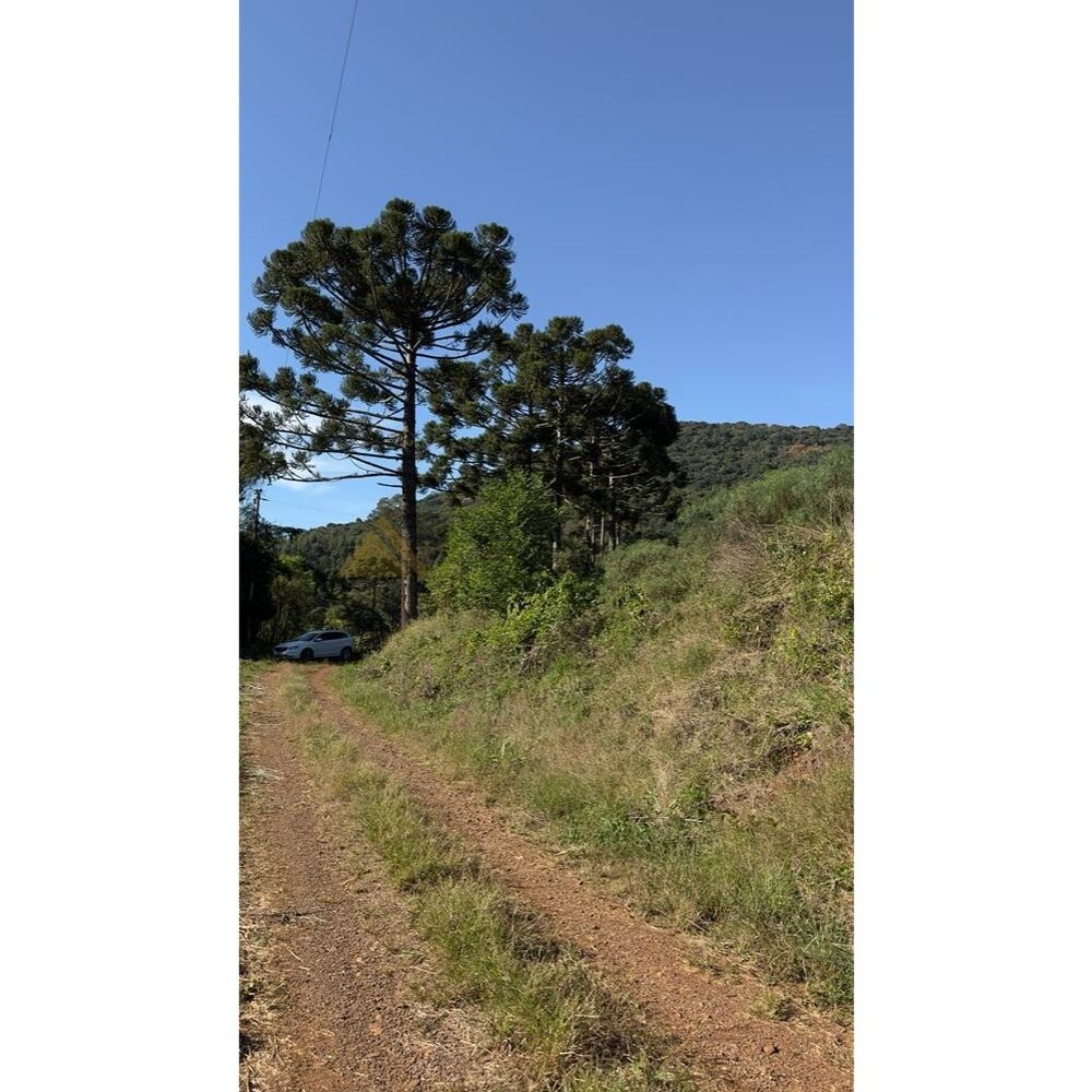 Terreno, 2 hectares - Foto 10