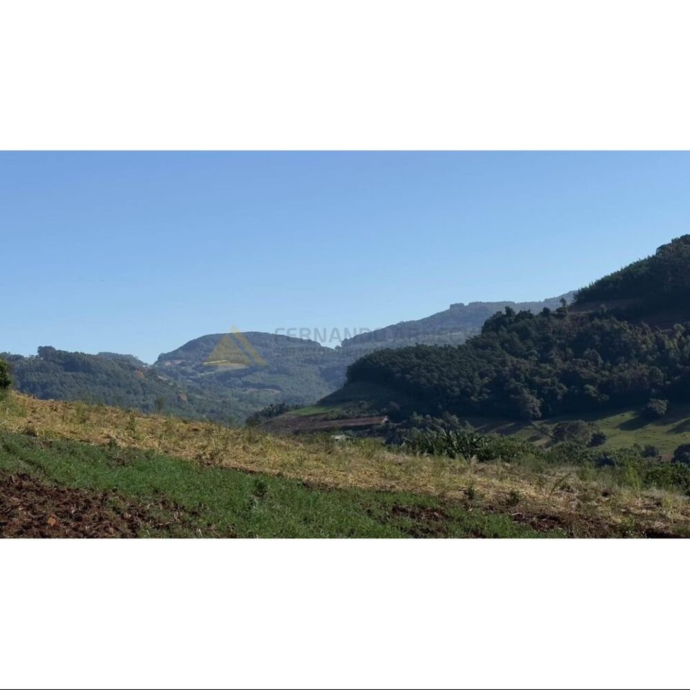 Terreno, 2 hectares - Foto 4