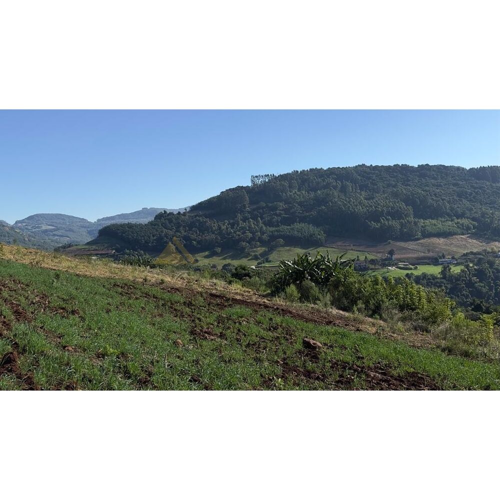 Terreno, 2 hectares - Foto 9