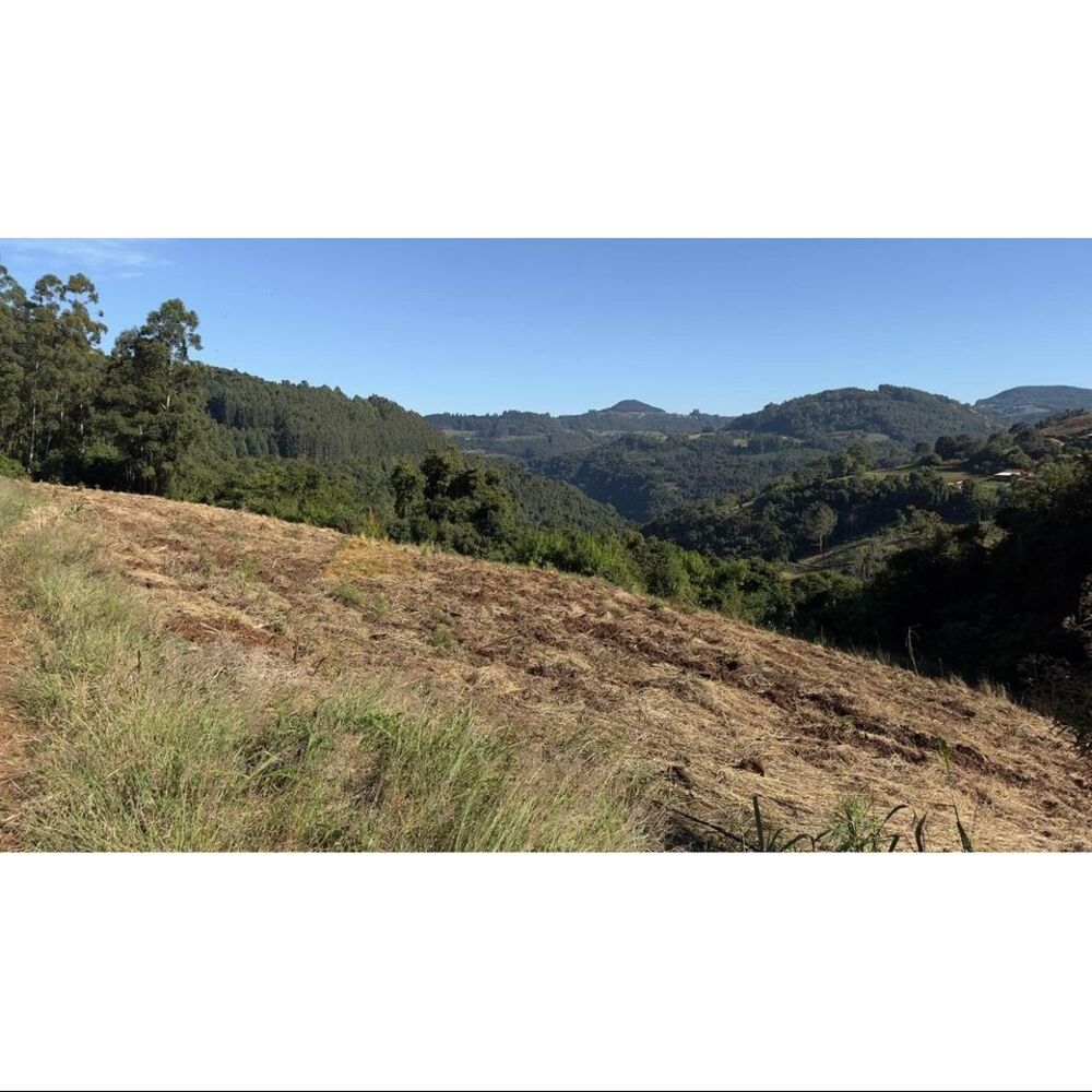 Terreno, 2 hectares - Foto 11