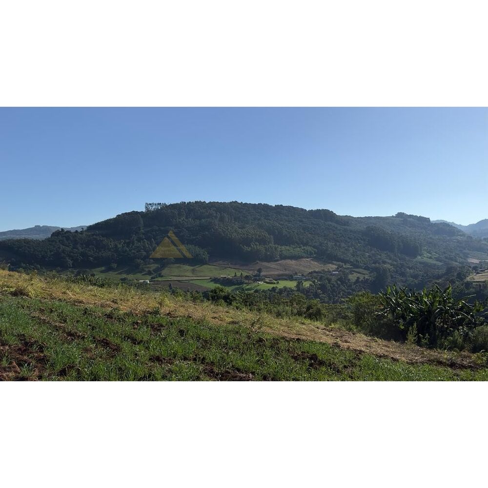 Terreno, 2 hectares - Foto 7