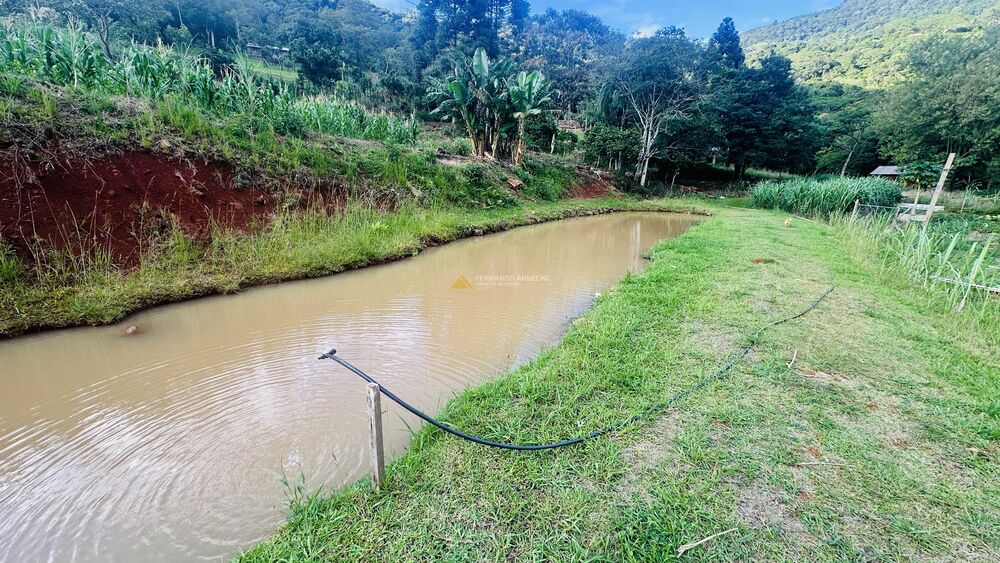 Sítio, 4 quartos, 2 hectares - Foto 2