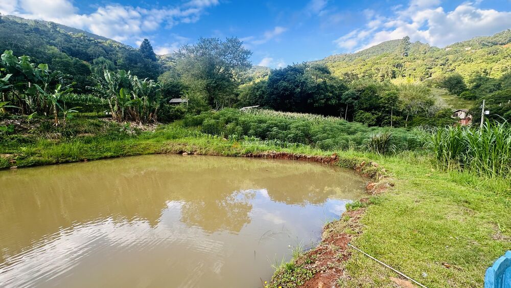 Sítio, 4 quartos, 2 hectares - Foto 4