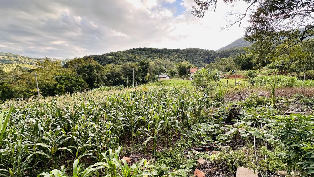 Sítio, 4 quartos, 2 hectares - Foto 10