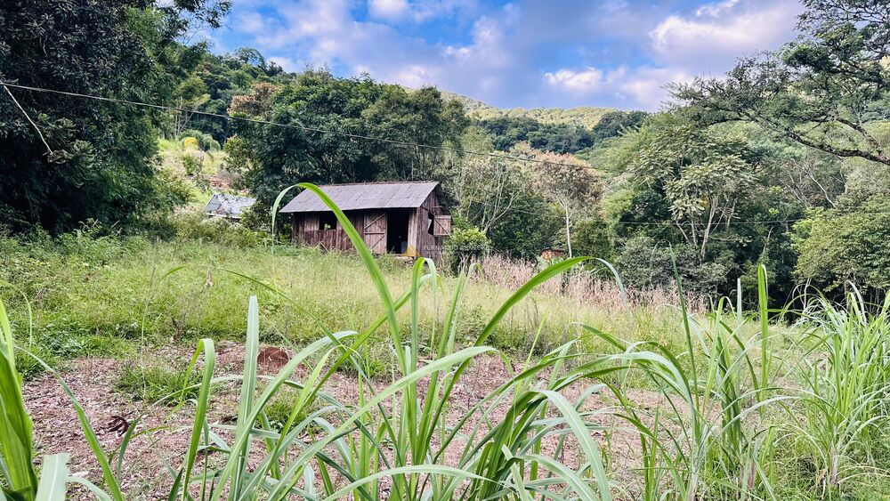 Sítio, 4 quartos, 2 hectares - Foto 18