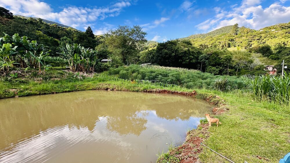 Sítio, 4 quartos, 2 hectares - Foto 1