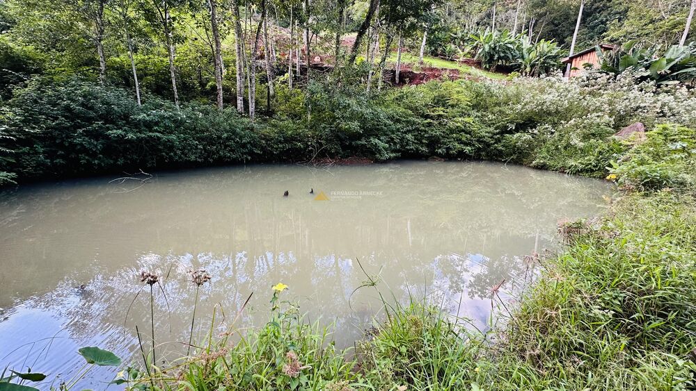 Sítio, 4 quartos, 2 hectares - Foto 15