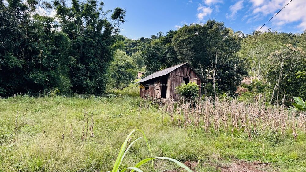 Sítio, 4 quartos, 2 hectares - Foto 14