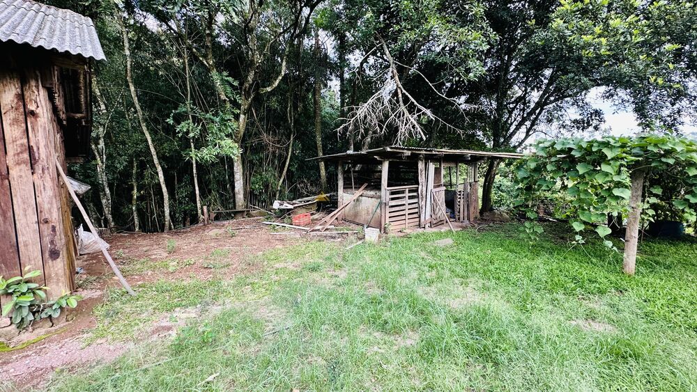 Sítio, 4 quartos, 2 hectares - Foto 12