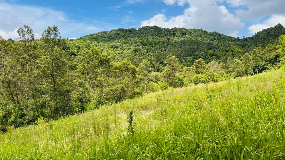 Terreno, 40000 m² - Foto 19