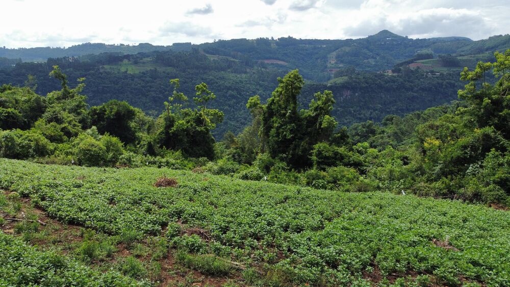 Terreno, 40000 m² - Foto 14