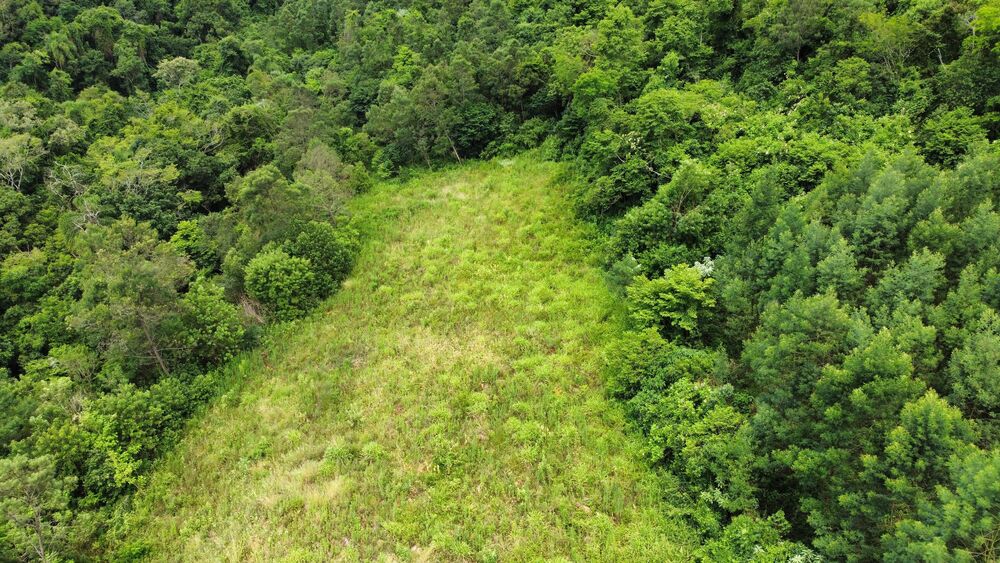 Terreno, 40000 m² - Foto 2