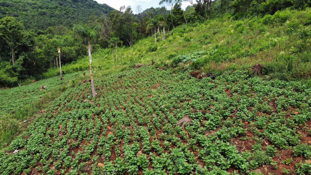 Terreno, 40000 m² - Foto 13