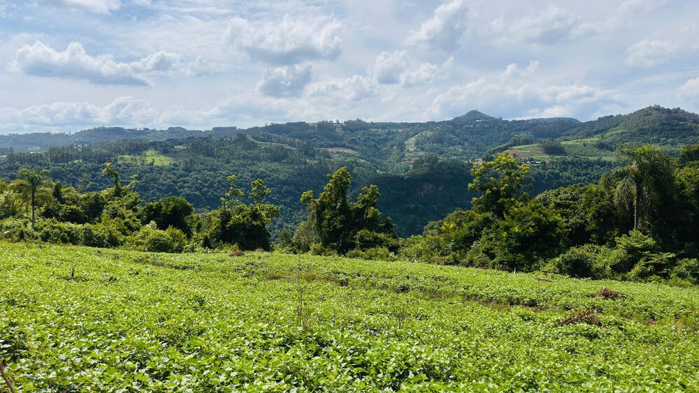 Terreno, 40000 m² - Foto 3