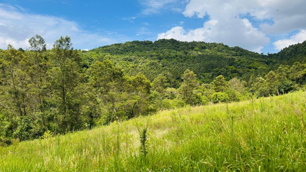 Terreno, 40000 m² - Foto 17