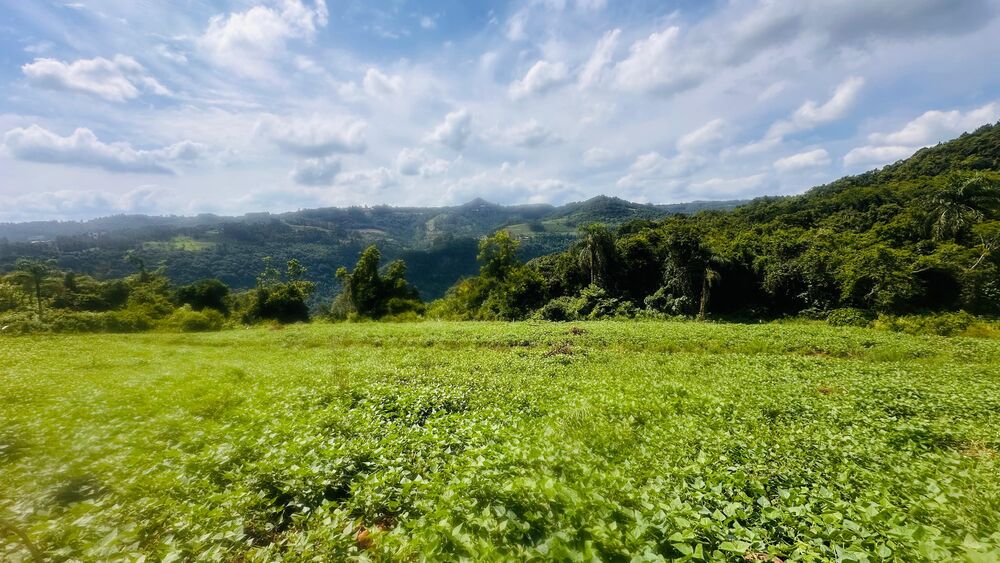 Terreno, 40000 m² - Foto 1