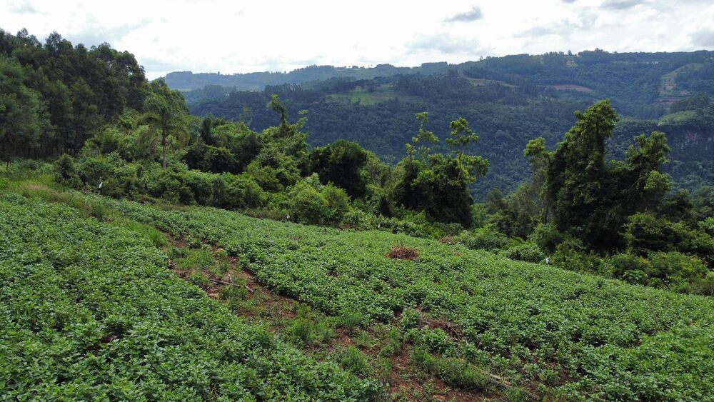 Terreno, 40000 m² - Foto 6