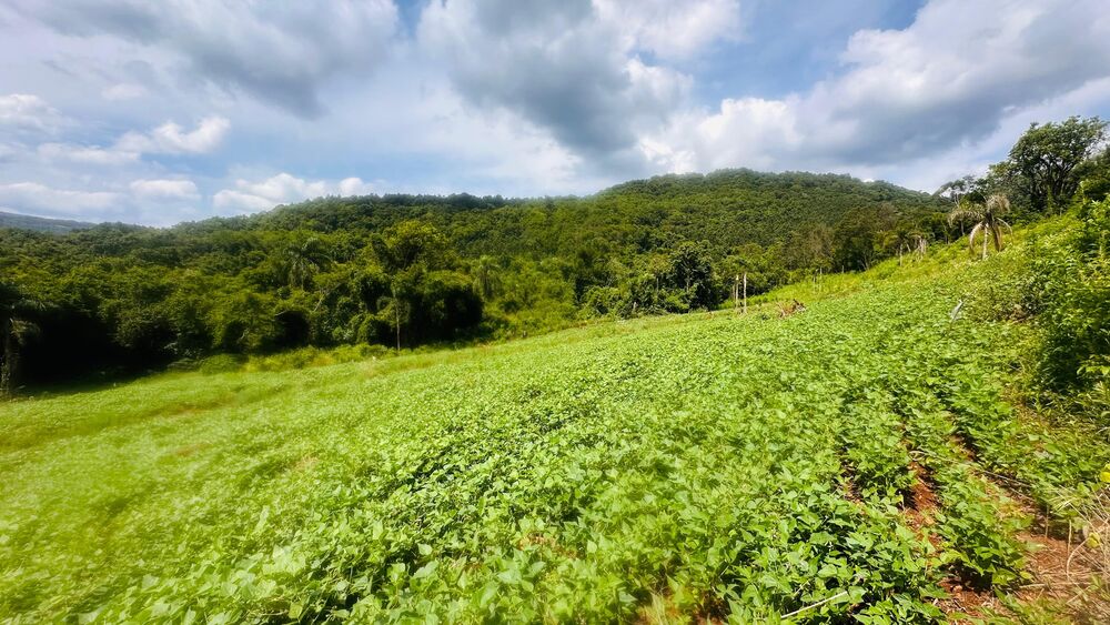 Terreno, 40000 m² - Foto 16