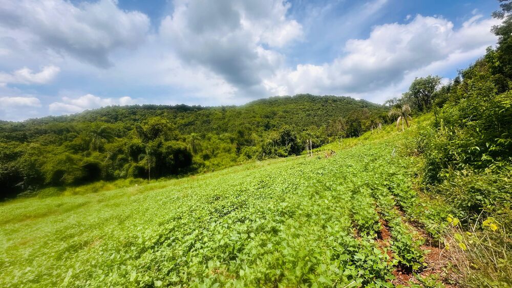 Terreno, 40000 m² - Foto 10