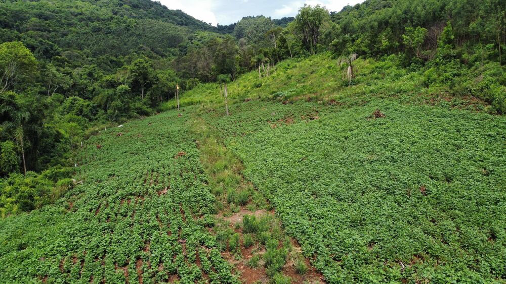 Terreno, 40000 m² - Foto 18