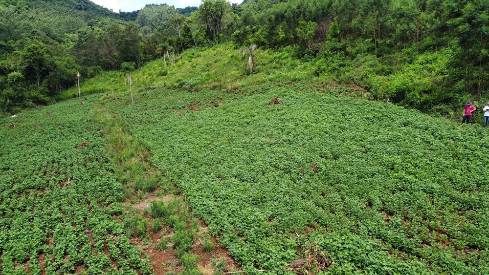 Terreno, 40000 m² - Foto 8