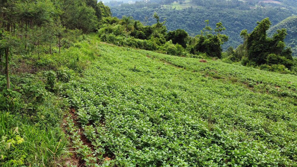 Terreno, 40000 m² - Foto 11