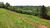 Sítio, 20 hectares - Foto 3