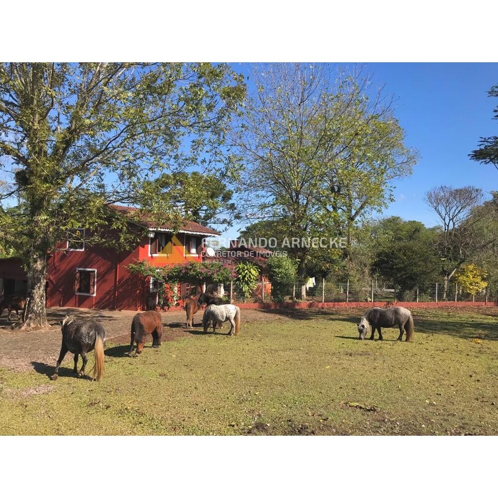 Sítio, 3 quartos, 7 hectares - Foto 9