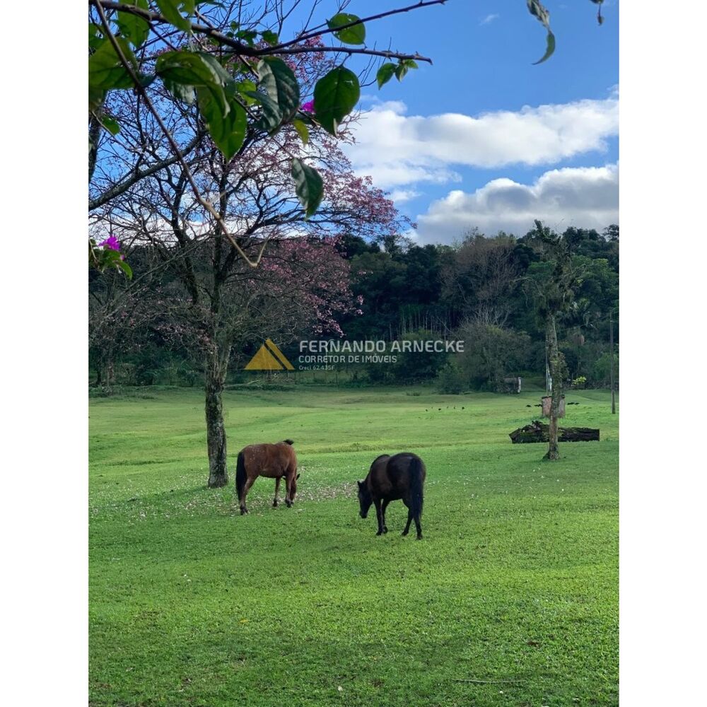 Sítio, 3 quartos, 7 hectares - Foto 18