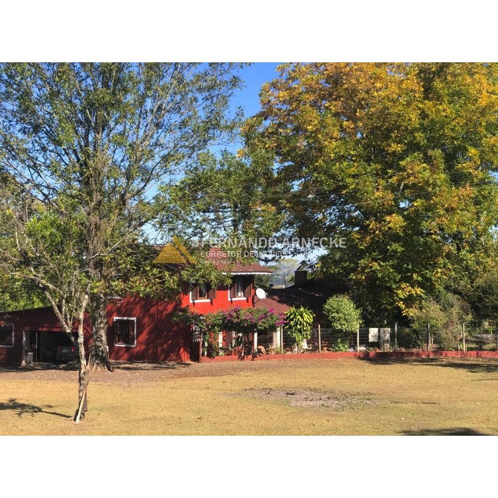 Sítio, 3 quartos, 7 hectares - Foto 7