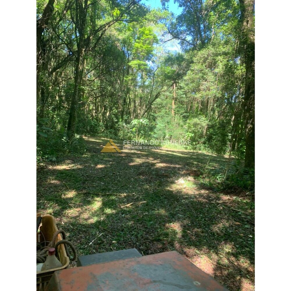 Sítio, 3 quartos, 7 hectares - Foto 16