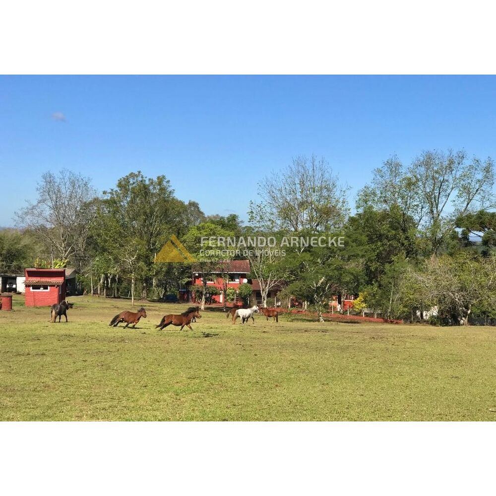 Sítio, 3 quartos, 7 hectares - Foto 11