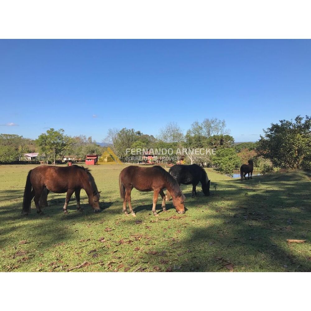 Sítio, 3 quartos, 7 hectares - Foto 8