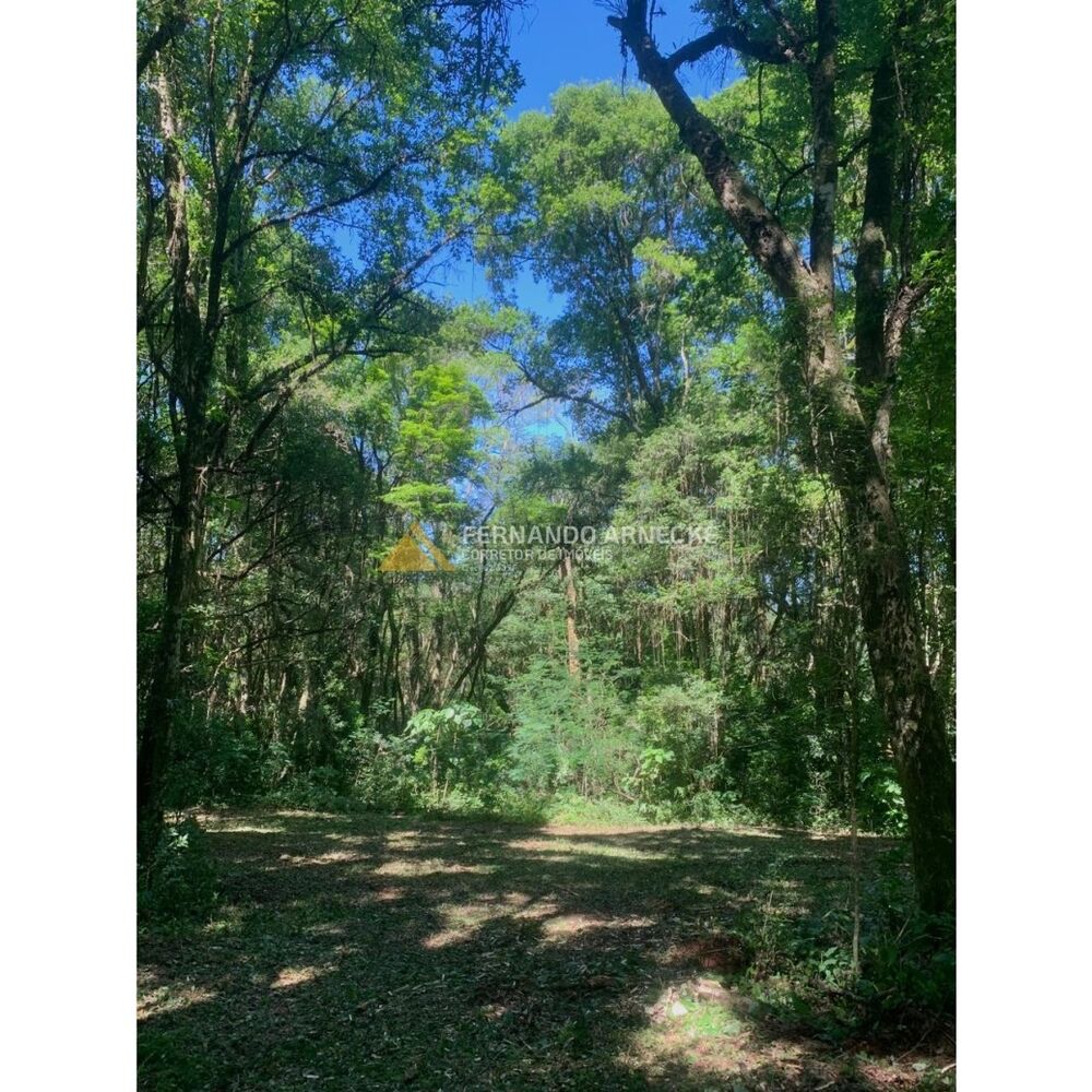 Sítio, 3 quartos, 7 hectares - Foto 19