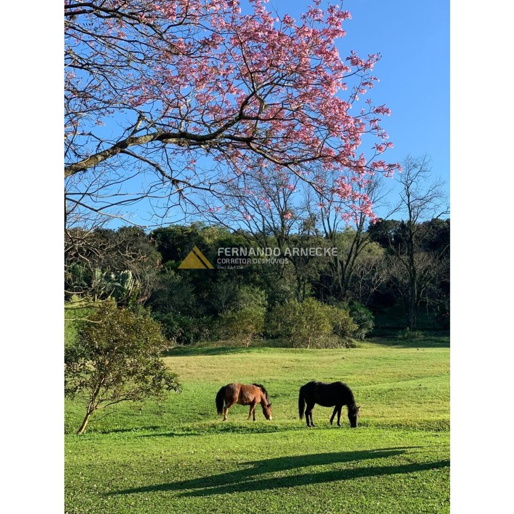 Sítio, 3 quartos, 7 hectares - Foto 17