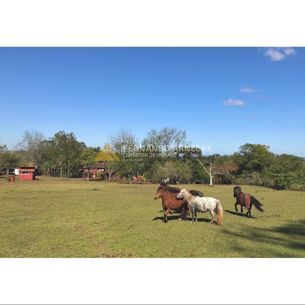 Sítio, 3 quartos, 7 hectares - Foto 10