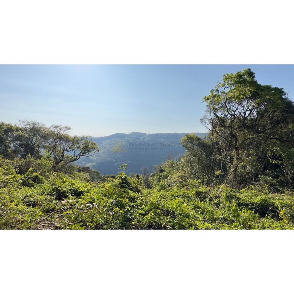 Sítio à venda, 16000m² - Foto 12