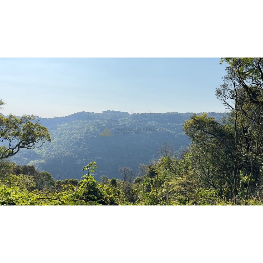 Sítio à venda, 16000m² - Foto 1