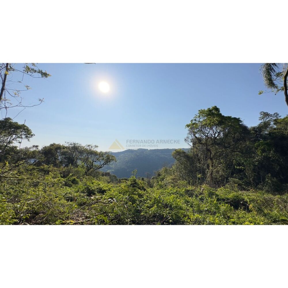 Sítio à venda, 16000m² - Foto 3