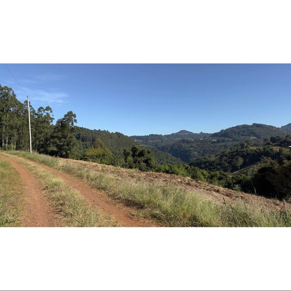 Chácara, 15 hectares - Foto 9