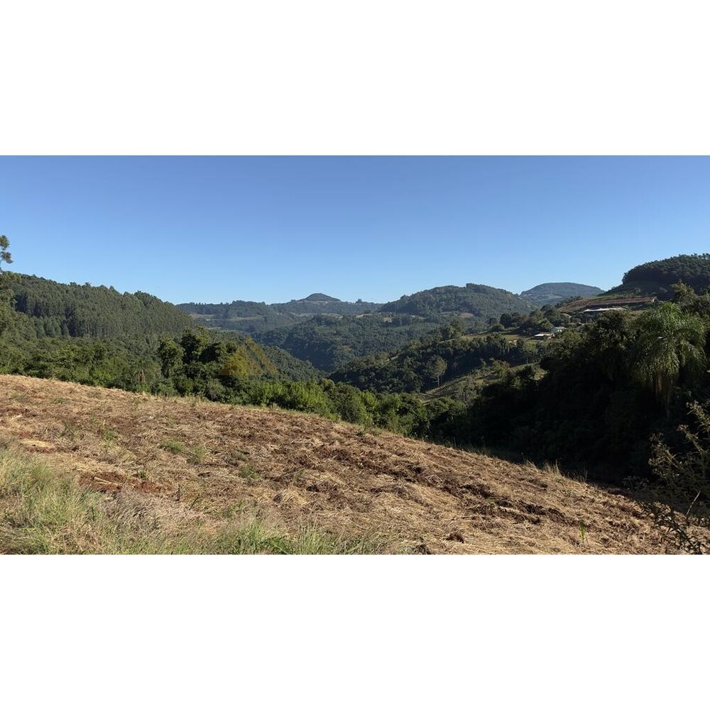 Chácara, 15 hectares - Foto 1