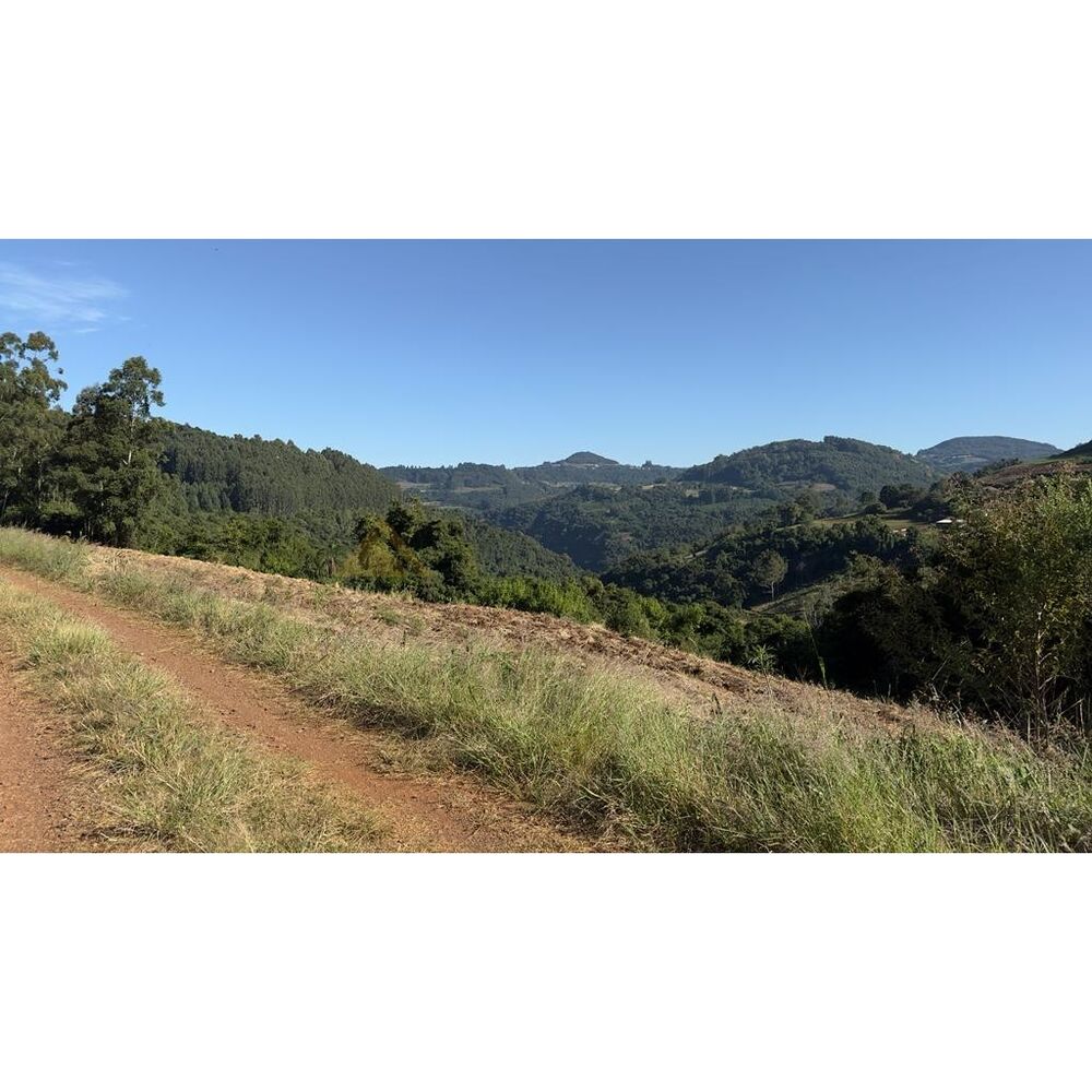 Chácara, 15 hectares - Foto 10