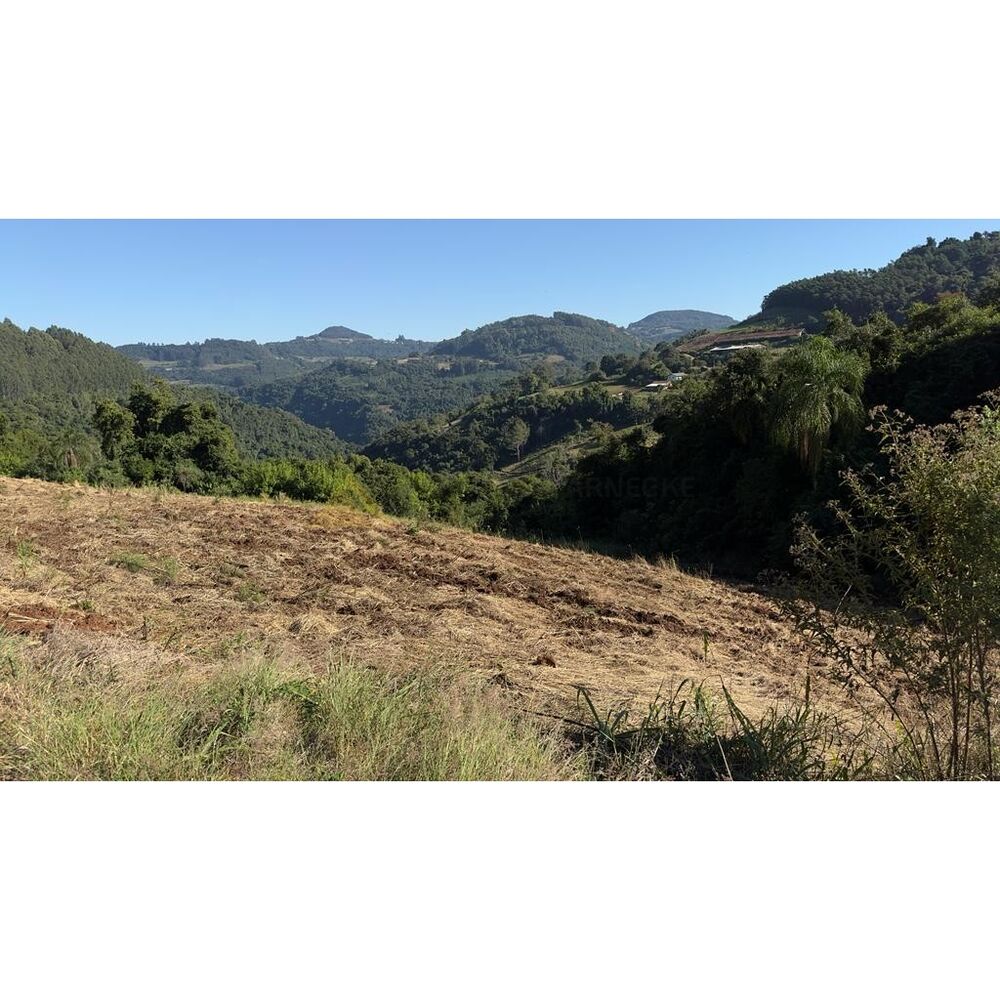 Chácara, 15 hectares - Foto 8