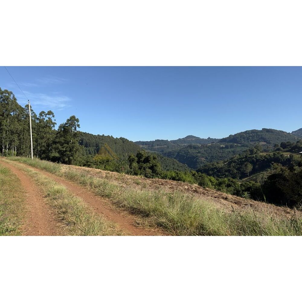 Chácara, 15 hectares - Foto 2