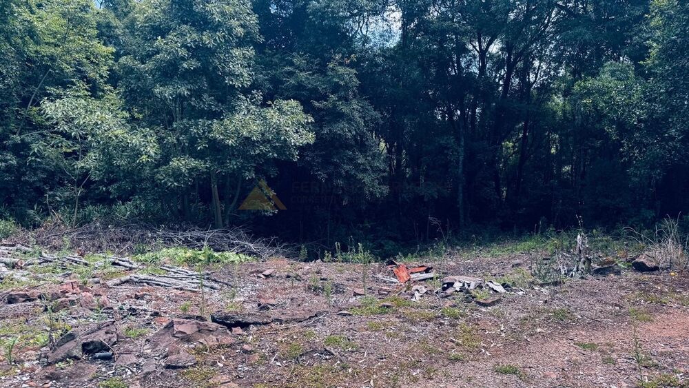 Sítio, 2 quartos, 58000 m² - Foto 2