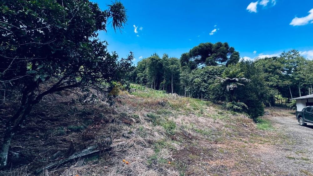 Sítio, 2 quartos, 58000 m² - Foto 3