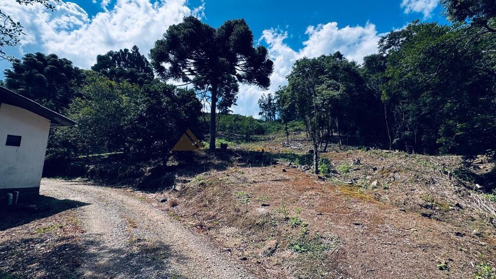 Sítio, 2 quartos, 58000 m² - Foto 6